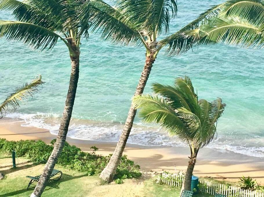 Luxury Beachfront Condo Hau'ula Exterior foto